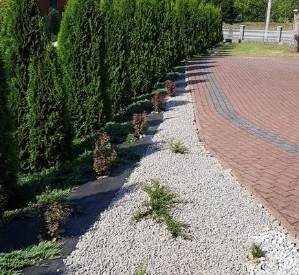krzewy przy obejściu kościoła w Lisowie